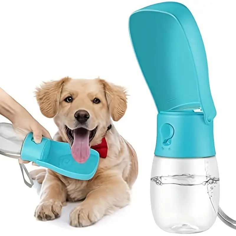 Portable Water Bottle and Travel Bowl