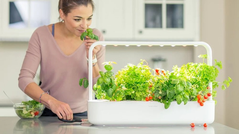 Indoor smart garden 