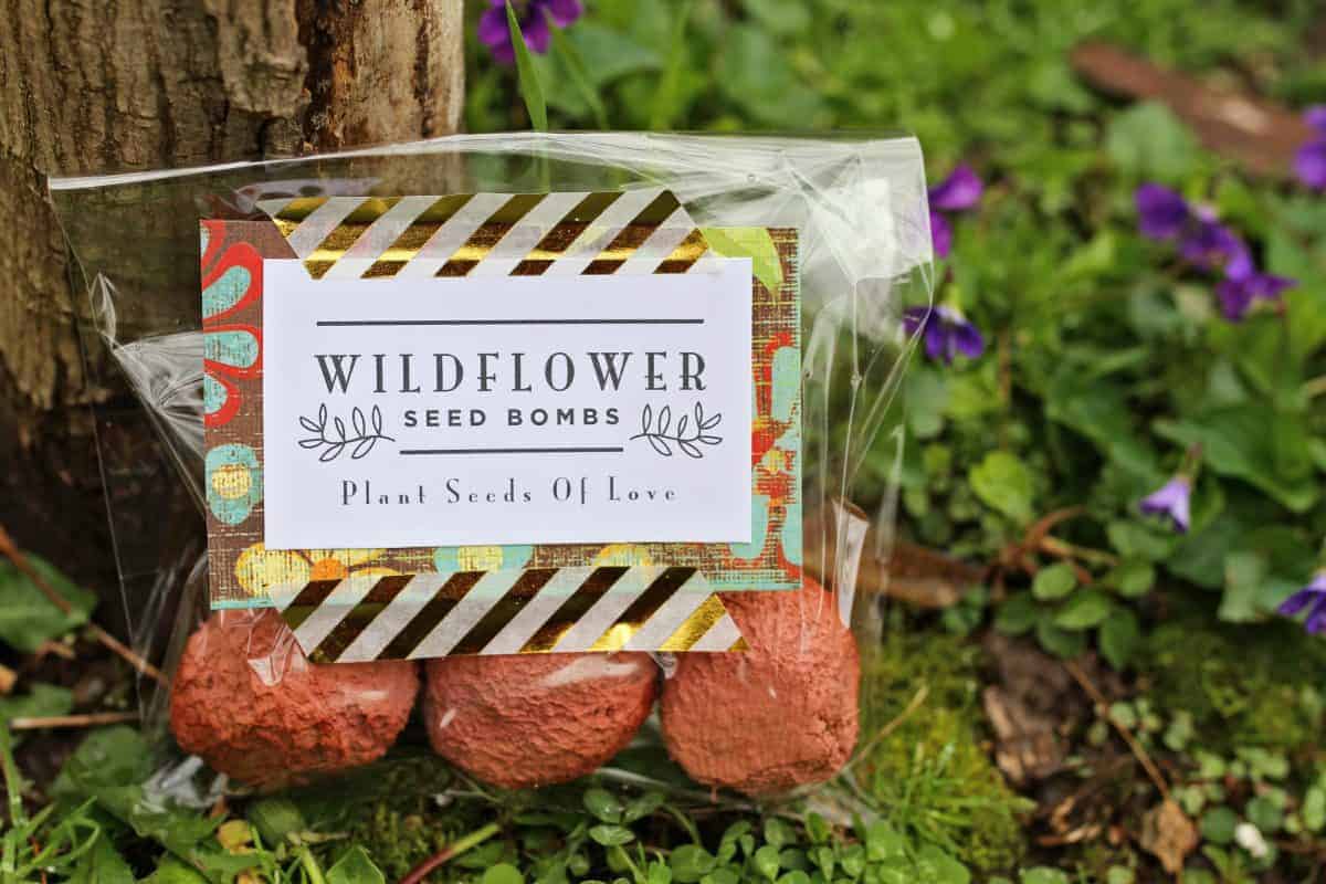 Wildflower Seed Bombs