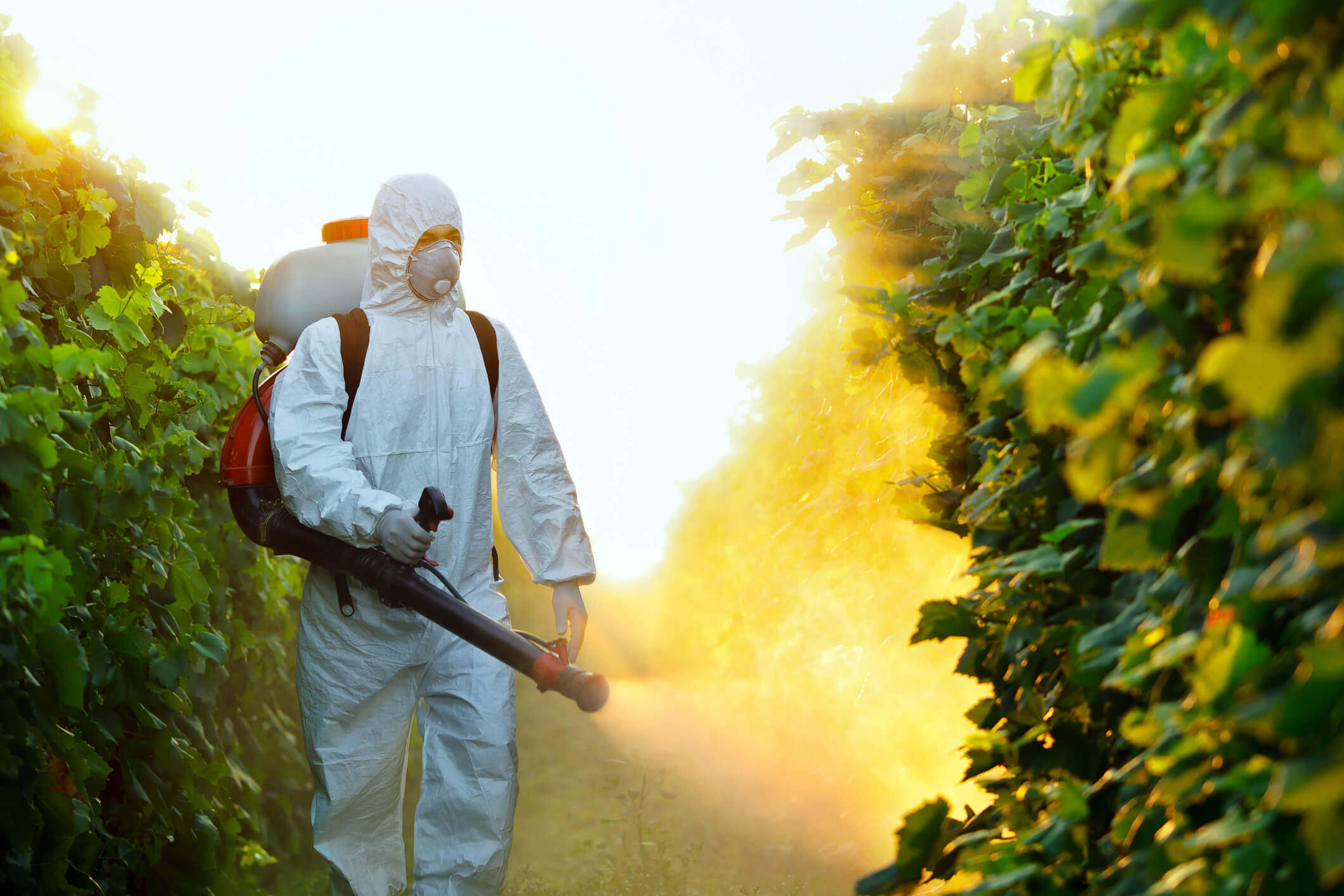 Farm Safety Gear